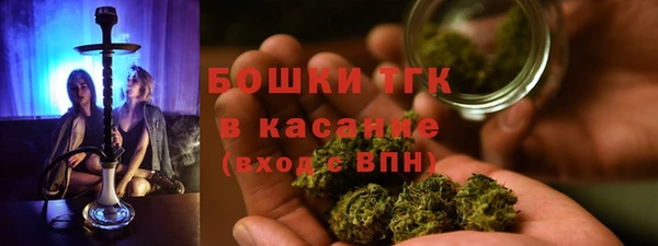 тгк Богданович