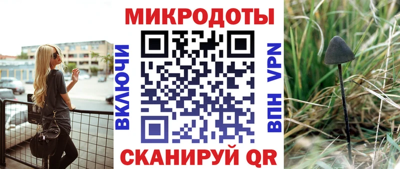 Купить закладки  Бирск  Псилоцибиновые грибы Psilocybe 