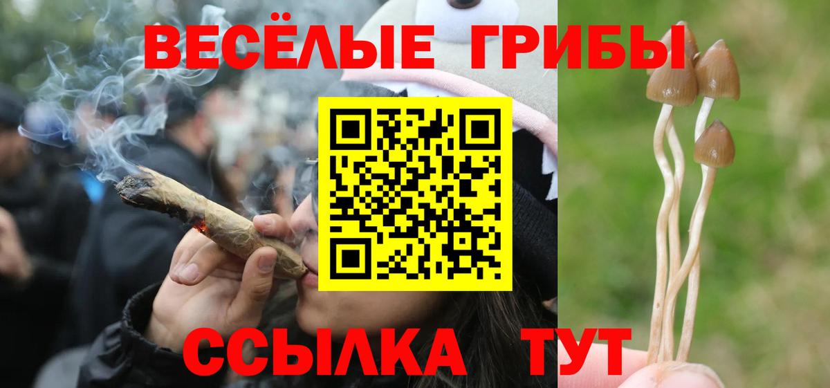 Псилоцибиновые грибы MAGIC MUSHROOMS Бирск