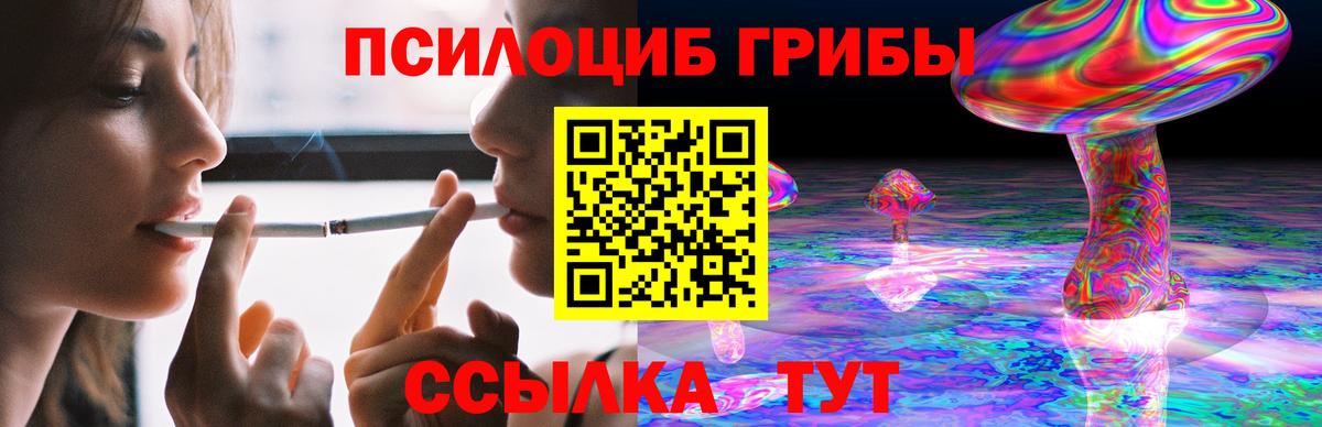 Бирск  Галлюциногенные грибы Cubensis  Галлюциногенные грибы GOLDEN TEACHER  Вход с VPN 